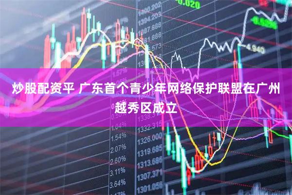 炒股配资平 广东首个青少年网络保护联盟在广州越秀区成立